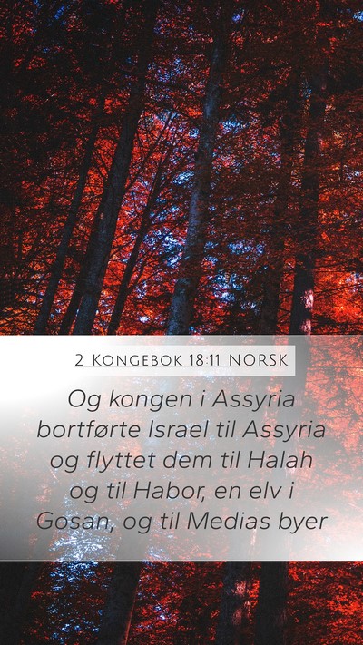 2 Kongebok 18:11 NORSK Bible Verse Image