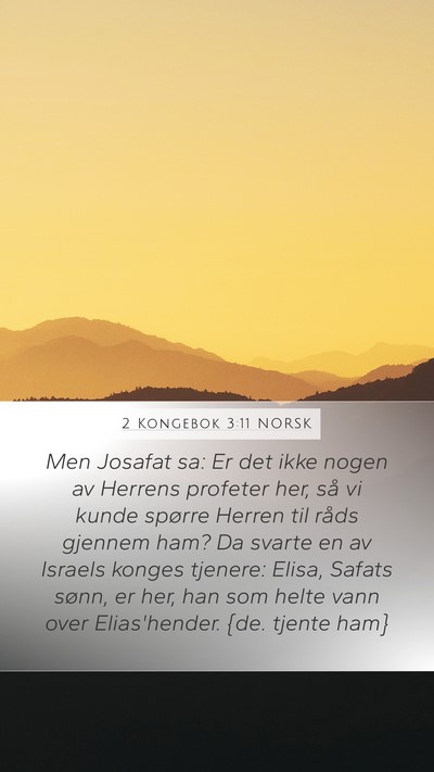 2 Kongebok 3:11 NORSK Bible Verse Image