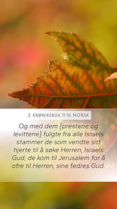 2 Krønikebok 11:16 NORSK Bible Verse Image