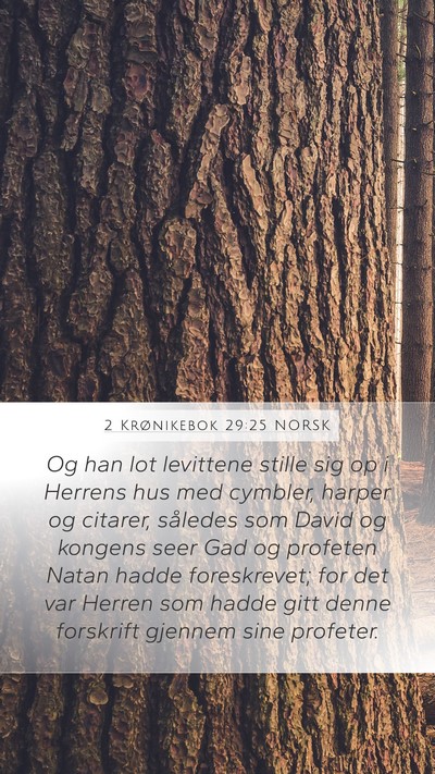 2 Krønikebok 29:25 NORSK Bible Verse Image