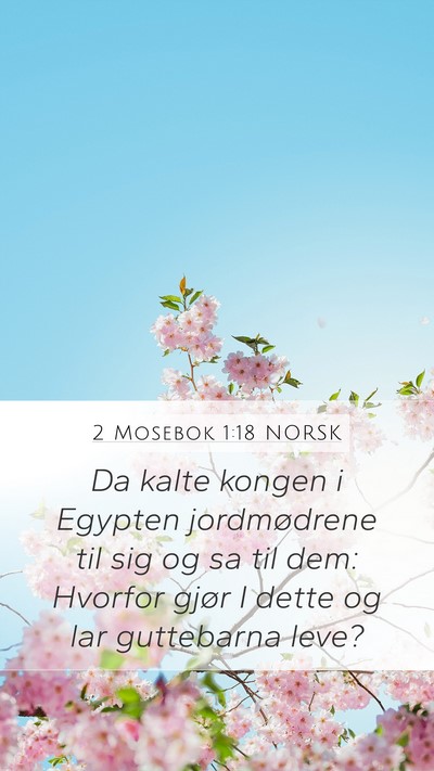 2 Mosebok 1:18 NORSK Mobile Phone Wallpaper - Da kalte kongen i Egypten jordmødrene til sig og - Mobile Bible Verse Wallpaper