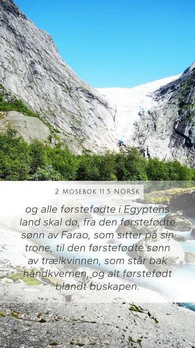 2 Mosebok 11:5 NORSK Bible Verse Image