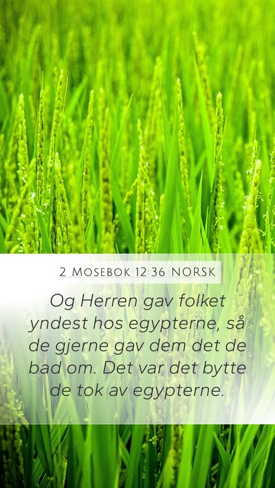 2 Mosebok 12:36 NORSK Bible Verse Image
