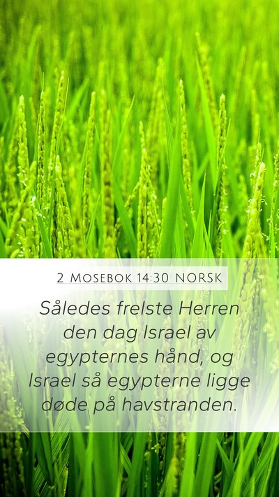 2 Mosebok 14:30 NORSK Bible Verse Image