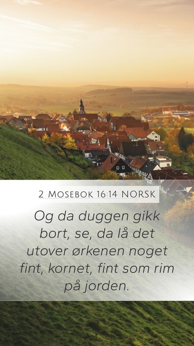 2 Mosebok 16:14 NORSK Bible Verse Image