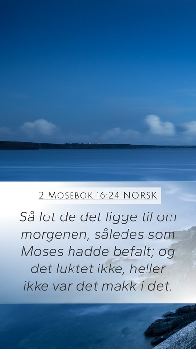 2 Mosebok 16:24 NORSK Mobile Phone Wallpaper - Så lot de det ligge til om morgenen, således - Mobile Bible Verse Wallpaper