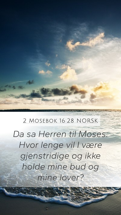 2 Mosebok 16:28 NORSK Bible Verse Image