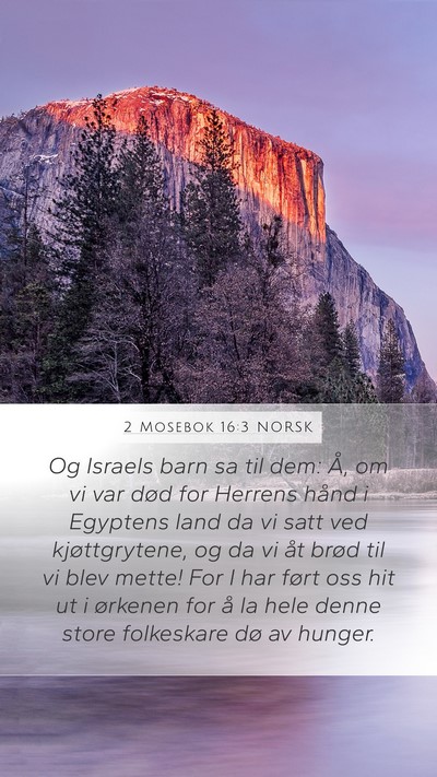 2 Mosebok 16:3 NORSK Bible Verse Image