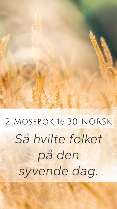 2 Mosebok 16:30 NORSK Mobile Phone Wallpaper - Så hvilte folket på den syvende - Mobile Bible Verse Wallpaper