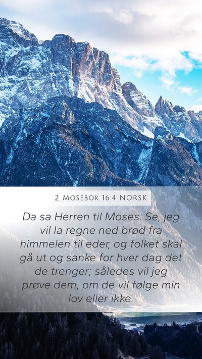 2 Mosebok 16:4 NORSK Bible Verse Image