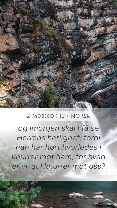 2 Mosebok 16:7 NORSK Bible Verse Image