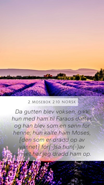 2 Mosebok 2:10 NORSK Bible Verse Image