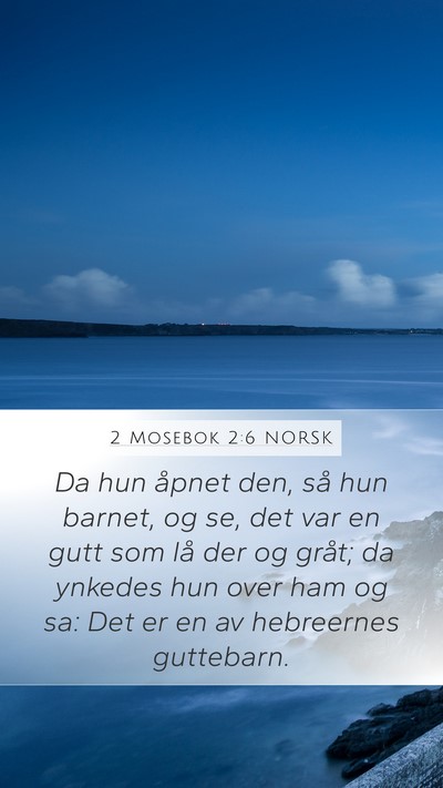 2 Mosebok 2:6 NORSK Bible Verse Image