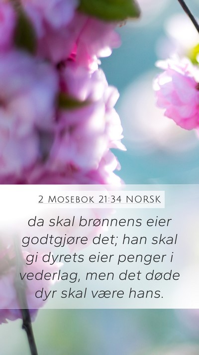 2 Mosebok 21:34 NORSK Bible Verse Image