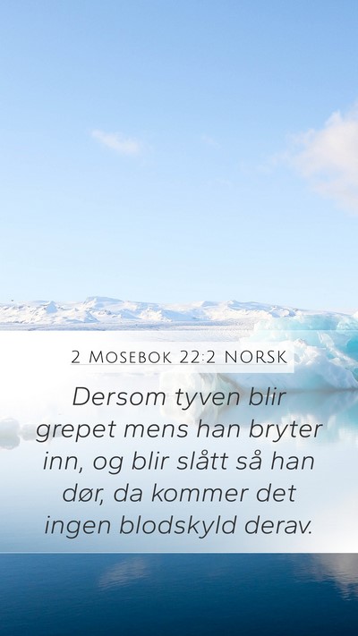 2 Mosebok 22:2 NORSK Bible Verse Image