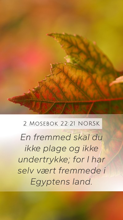 2 Mosebok 22:21 NORSK Bible Verse Image