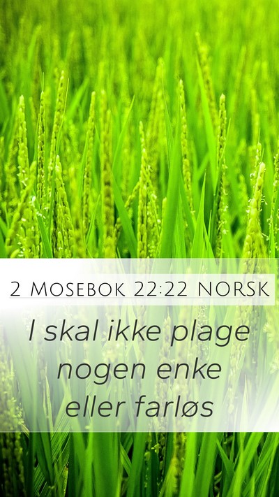 2 Mosebok 22:22 NORSK Bible Verse Image