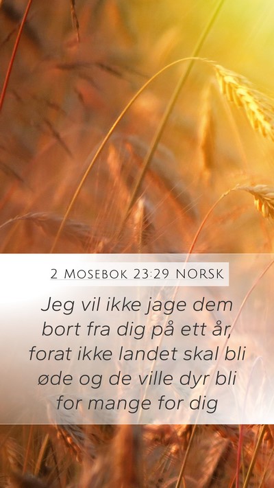 2 Mosebok 23:29 NORSK Bible Verse Image