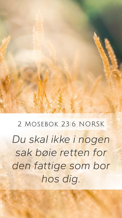 2 Mosebok 23:6 NORSK Bible Verse Image