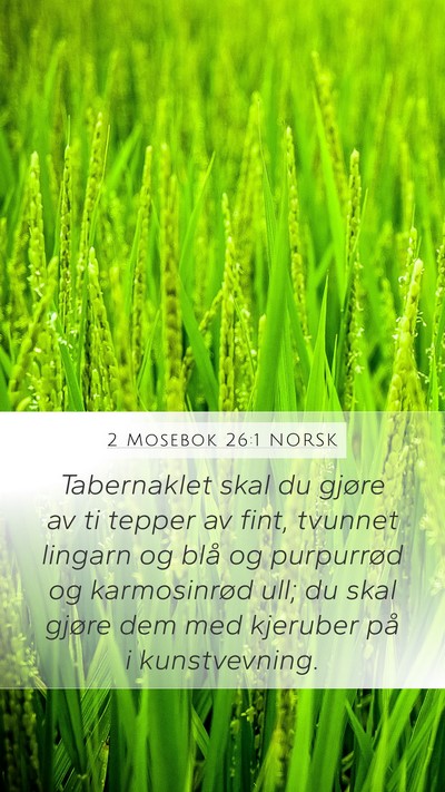 2 Mosebok 26:1 NORSK Bible Verse Image