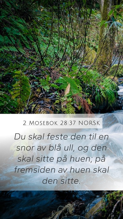 2 Mosebok 28:37 NORSK Mobile Phone Wallpaper - Du skal feste den til en snor av blå ull, og den - Mobile Bible Verse Wallpaper