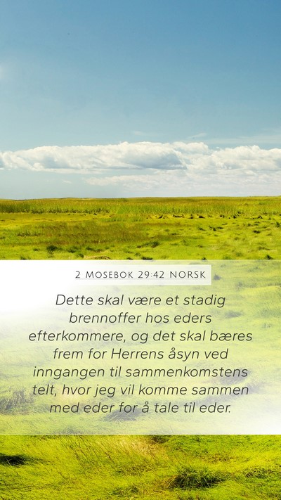 2 Mosebok 29:42 NORSK Bible Verse Image