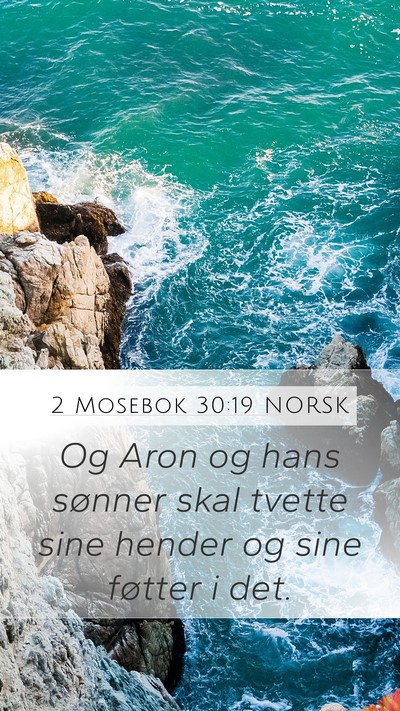 2 Mosebok 30:19 NORSK Bible Verse Image