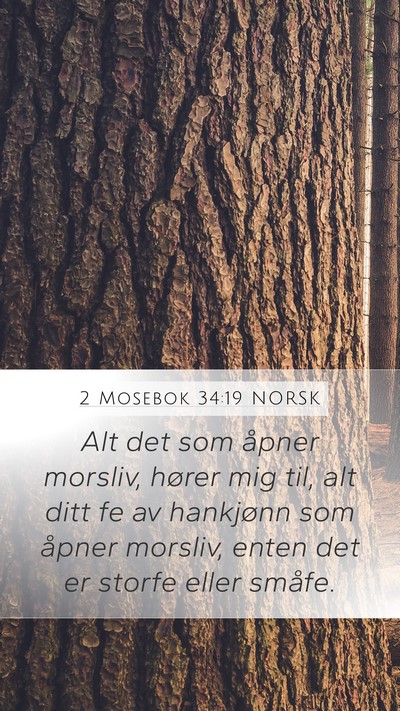 2 Mosebok 34:19 NORSK Bible Verse Image