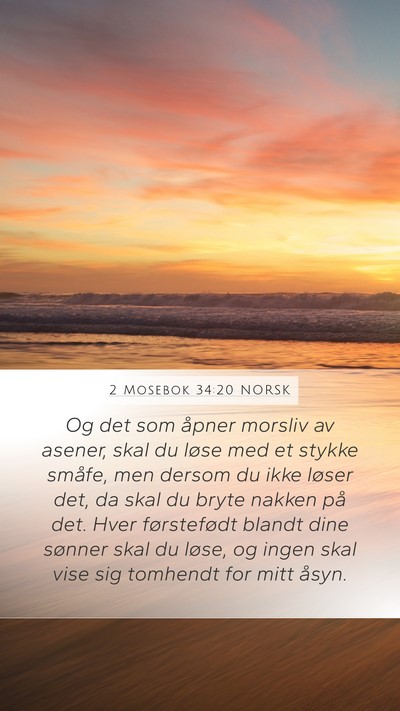2 Mosebok 34:20 NORSK Bible Verse Image