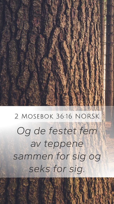 2 Mosebok 36:16 NORSK Mobile Phone Wallpaper - Og de festet fem av teppene sammen for sig og - Mobile Bible Verse Wallpaper