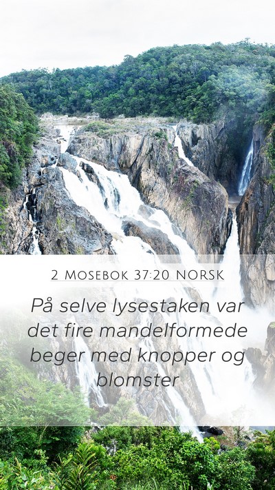 2 Mosebok 37:20 NORSK Bible Verse Image