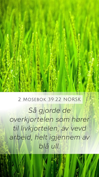 2 Mosebok 39:22 NORSK Bible Verse Image