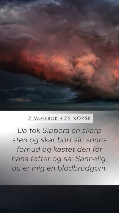 2 Mosebok 4:25 NORSK Bible Verse Image