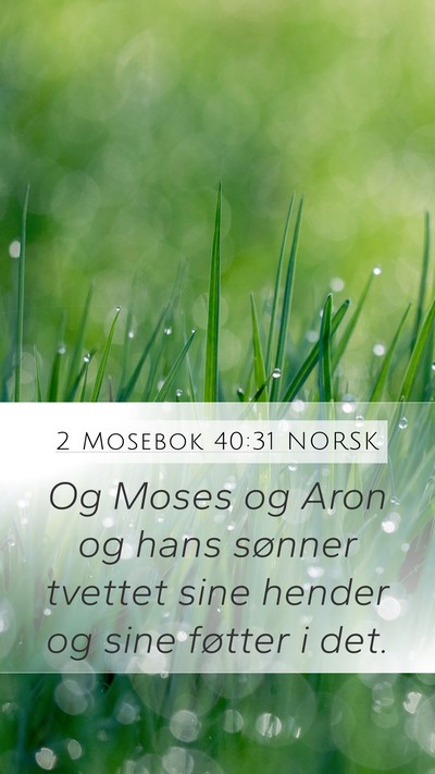2 Mosebok 40:31 NORSK Bible Verse Image