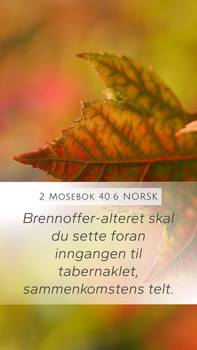 2 Mosebok 40:6 NORSK Bible Verse Image