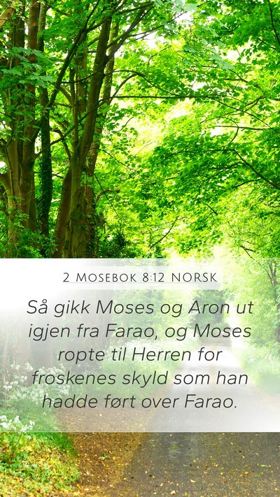 2 Mosebok 8:12 NORSK Mobile Phone Wallpaper - Så gikk Moses og Aron ut igjen fra Farao, og - Mobile Bible Verse Wallpaper