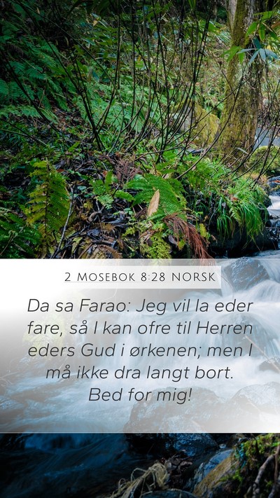 2 Mosebok 8:28 NORSK Bible Verse Image