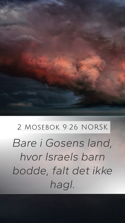 2 Mosebok 9:26 NORSK Bible Verse Image