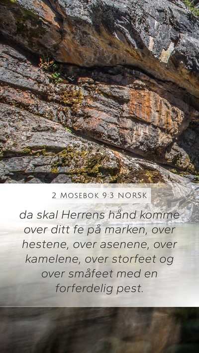 2 Mosebok 9:3 NORSK Bible Verse Image