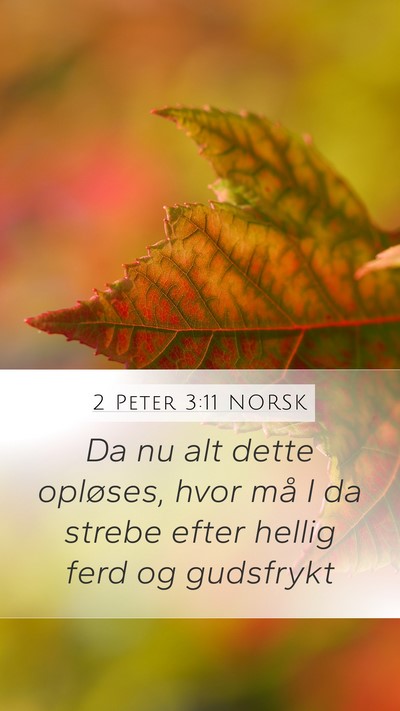 2 Peter 3:11 NORSK Bible Verse Image