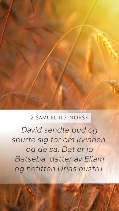 2 Samuel 11:3 NORSK Bible Verse Image