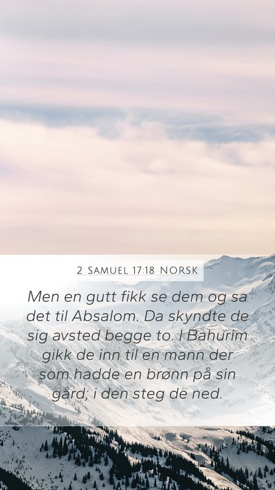 2 Samuel 17:18 NORSK Bible Verse Image