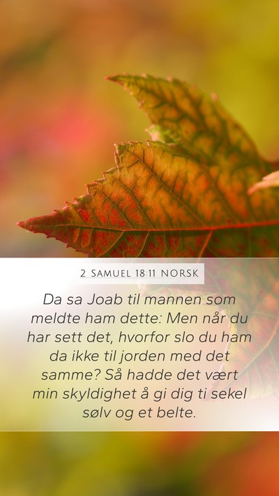 2 Samuel 18:11 NORSK Bible Verse Image