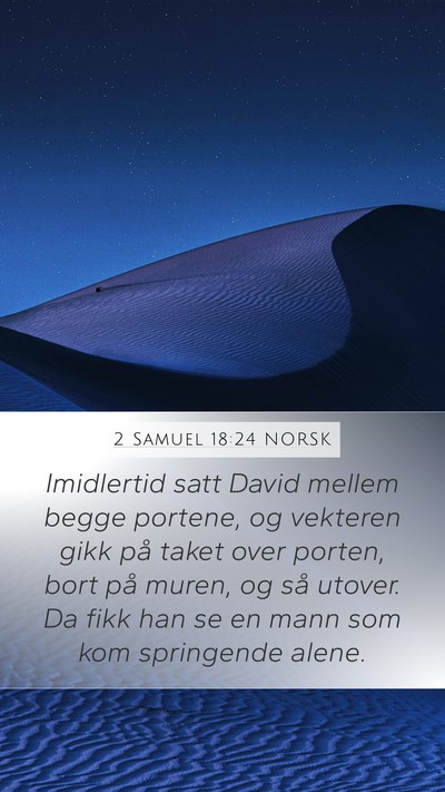 2 Samuel 18:24 NORSK Bible Verse Image