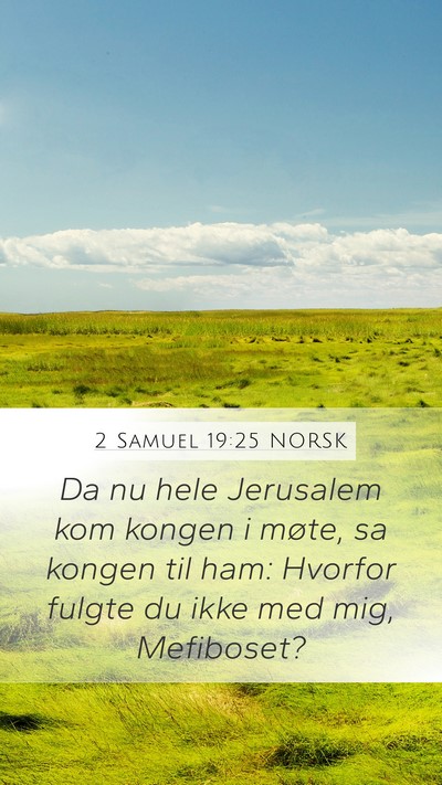 2 Samuel 19:25 NORSK Bible Verse Image