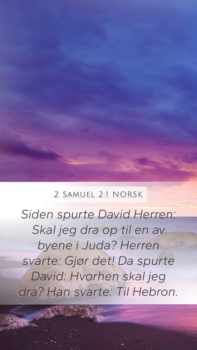 2 Samuel 2:1 NORSK Bible Verse Image