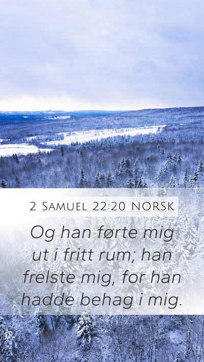 2 Samuel 22:20 NORSK Bible Verse Image