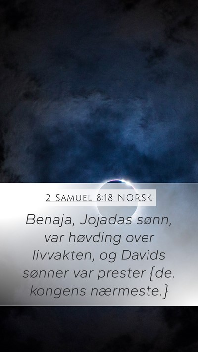 2 Samuel 8:18 NORSK Bible Verse Image