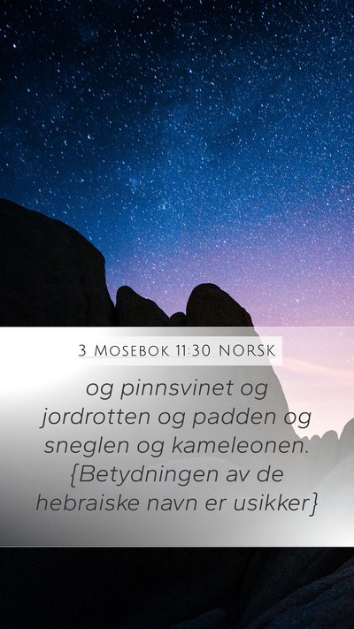 3 Mosebok 11:30 NORSK Mobile Phone Wallpaper - og pinnsvinet og jordrotten og padden og sneglen - Mobile Bible Verse Wallpaper