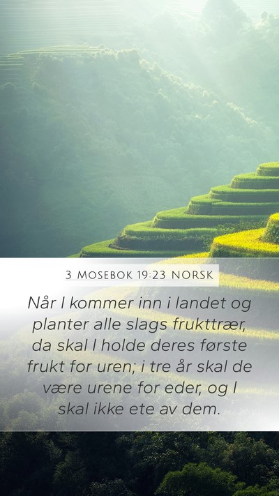 3 Mosebok 19:23 NORSK Bible Verse Image